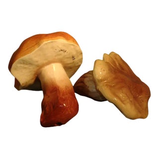 Antique 19th Century French Pottery Naturalistically Molded Trompe L' Oeil Models of Mushrooms - a Pair For Sale