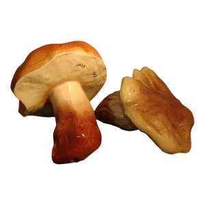 Antique 19th Century French Pottery Naturalistically Molded Trompe L' Oeil Models of Mushrooms - a Pair
