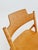 Brown Austrian Folding Chair Model Se18 by Egon Eiermann for Wilde & Spieth, 1950s For Sale - Image 8 of 10