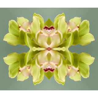 "No. 287" Erin Derby Op Art Limited Edition Print For Sale