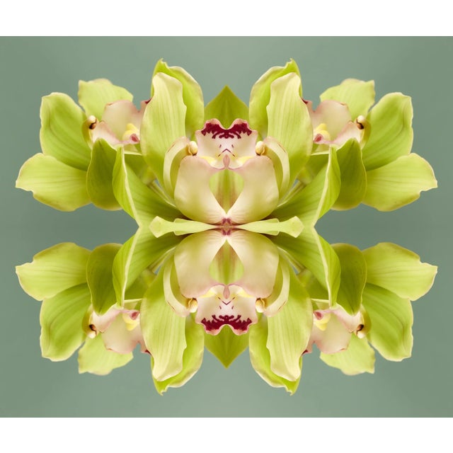 "No. 287" Erin Derby Op Art Limited Edition Print For Sale