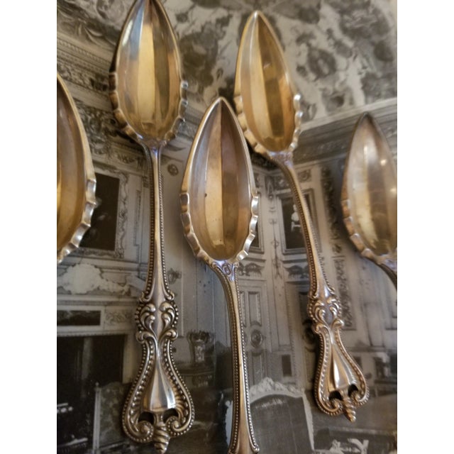 Towle Silversmiths Five Antique Old Colonial Sterling Citrus Spoons For Sale - Image 4 of 11