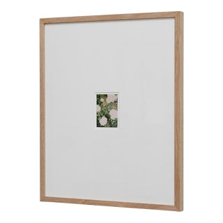 The Rose Garden Nº 35 Print by David Urbano, 2018 For Sale