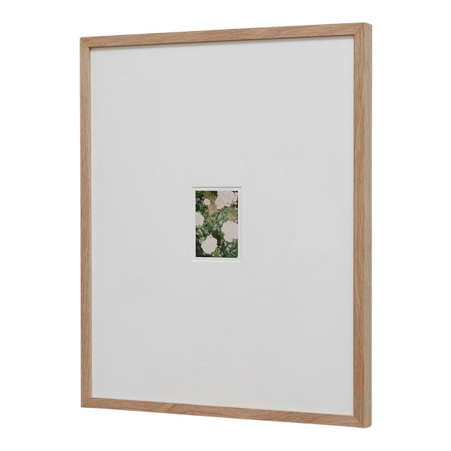 The Rose Garden Nº 35 Print by David Urbano, 2018 For Sale