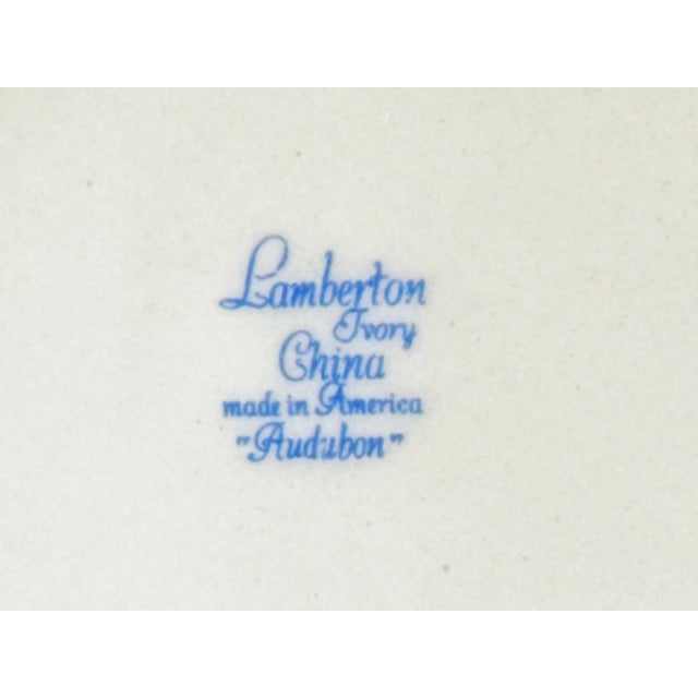 Vintage Lamberton China Audubon Collection - Bird of Paradise - 8 Dinner Plates For Sale - Image 13 of 13