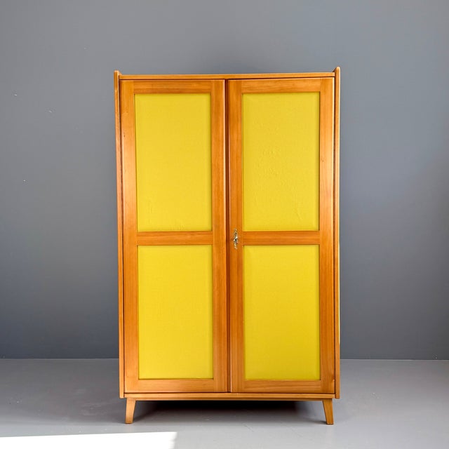 Vintage Wardrobe in Fir, 1950s For Sale - Image 10 of 10