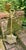 From an estate north of New Orleans, this umbrella stand was purchased in the mid 20th century and is solid cast brass....