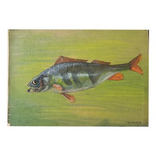 Carl H. Berberich, Swimming Perch in Green Water, 1916, Oil Painting on Canvas For Sale