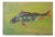 Carl H. Berberich, Swimming Perch in Green Water, 1916, Oil Painting on Canvas For Sale