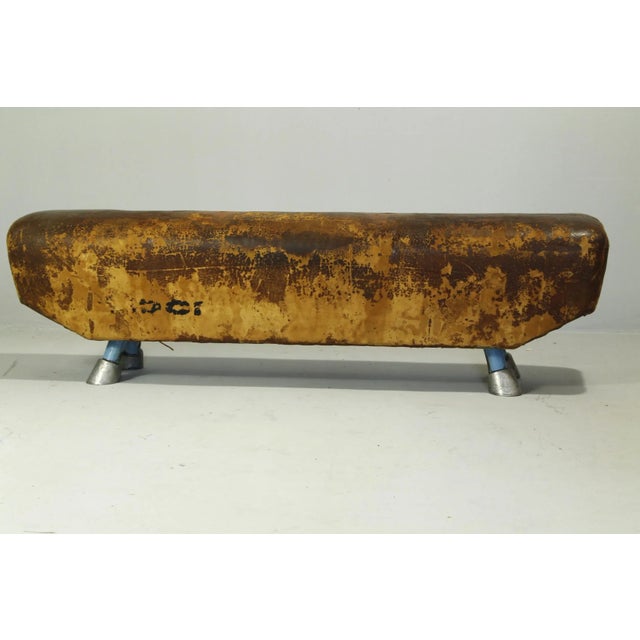Mid-Century Modern Vintage Leather Gym Pommel Horse Bench, 1960s For Sale - Image 3 of 11