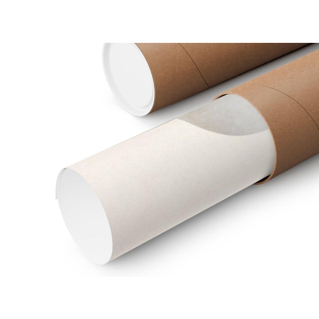 Not Yet Made - Made To Order Scarlet Ibis With an Egg by Maria Sibylla Merian, Vintage Art Print Reproduction, 24" × 36" For Sale - Image 5 of 5