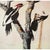 John James Audubon 1966 Vintage Farmhouse Cottage Print "Ivory-Billed Woodpecker" After John James Audubon For Sale - Image 4 of 7