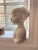 Plaster Bust of a Young Boy For Sale - Image 9 of 9