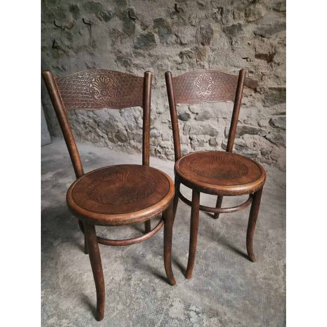 Antique Bistro Chairs in Bentwood by Fischel Austria, 1890s, Set of 2 For Sale - Image 9 of 18