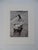 Henri Cartier-Bresson Dogs Photolithograph, printed 1979 including the passe-partout 40x30cm picture 26 x 17 cm Bears a...