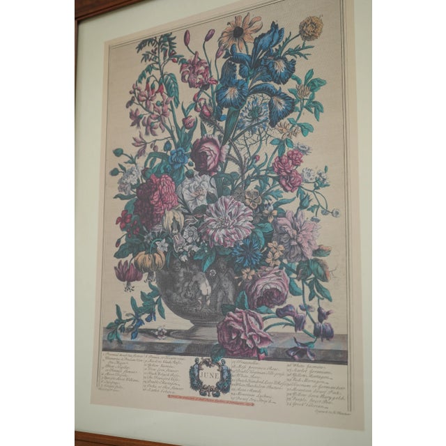 Cherry Framed Floral Botanical Anniversary Print ~ June For Sale In Philadelphia - Image 6 of 9