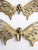 Mid 20th Century Mid-Century Brass Butterfly Wall Hangings Pair For Sale - Image 5 of 12