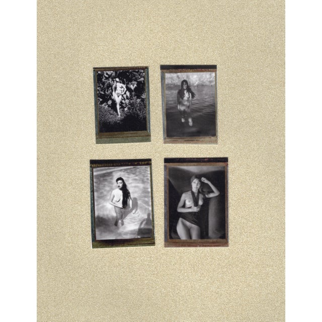 Renée Jacobs, Female Nudes, Original Signed Polaroid Countertypes, Set of 4 For Sale - Image 4 of 6