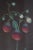1960s Pair of Berry Prints by George Brookshaw For Sale - Image 9 of 13