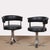 Animal Skin Chairs attributed to Osvaldo Borsani, 1970s, Set of 2 For Sale - Image 7 of 7