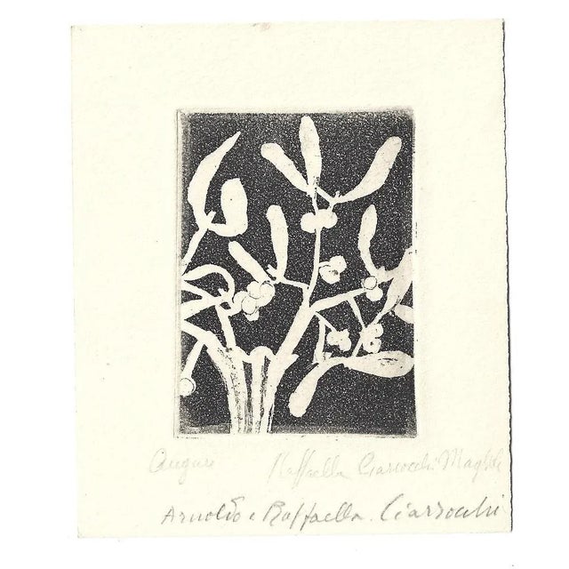 Il Vischio (The Mistletoe) is a original b/w etching on paper, realized by the Italian artist Arnoldo Ciarrocchi...