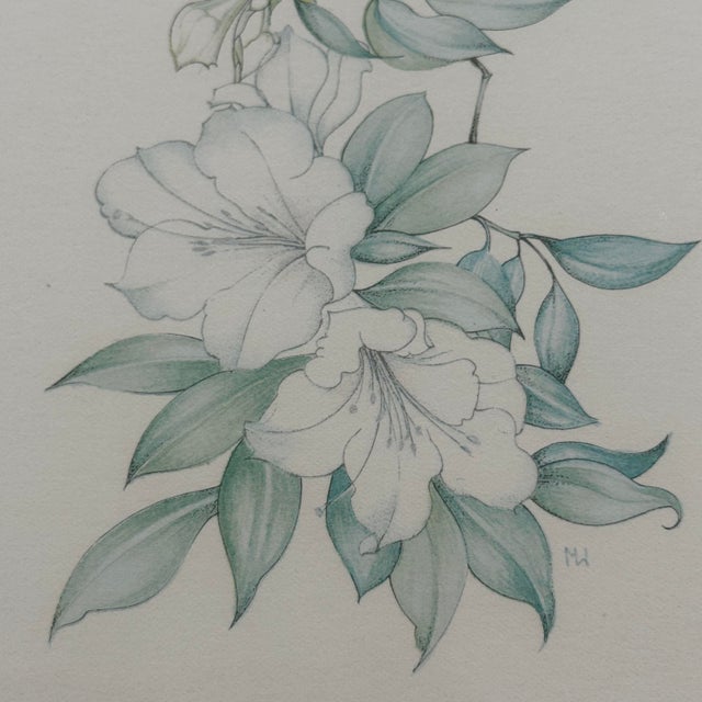 Margot Weemaes 1981 Rhododendron Fragrantissimum Botanical Portfolio Print For Sale In Tampa - Image 6 of 11