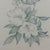 Margot Weemaes 1981 Rhododendron Fragrantissimum Botanical Portfolio Print For Sale In Tampa - Image 6 of 11
