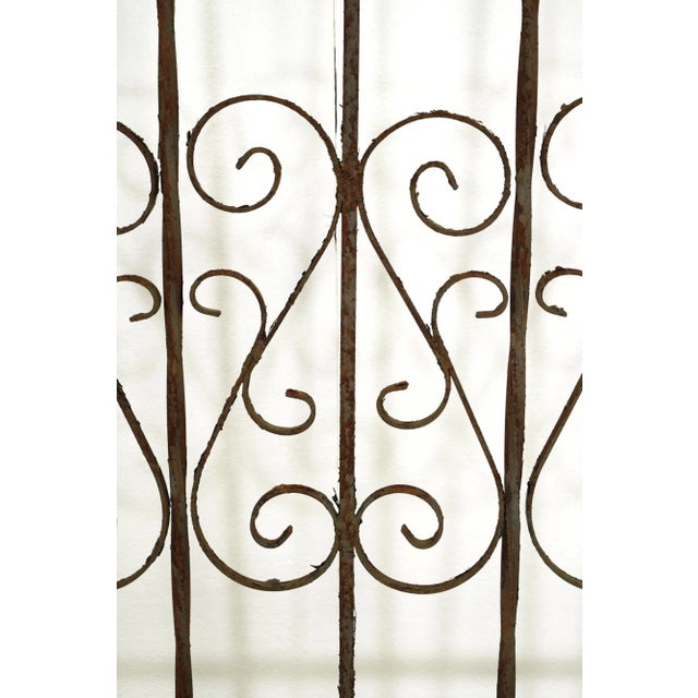 Victorian Antique Victorian Curled Wrought Iron Gate For Sale - Image 3 of 7