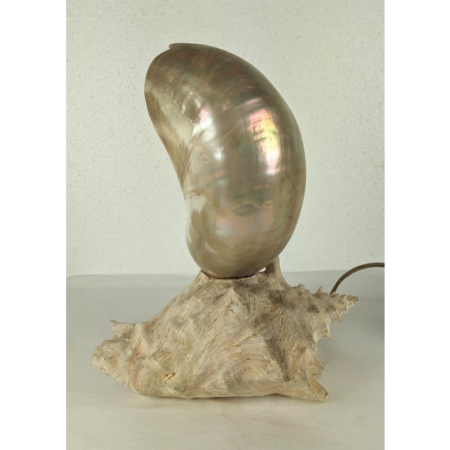 White Deco Nautilus and Conch Shell Lamp For Sale - Image 8 of 11