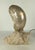 White Deco Nautilus and Conch Shell Lamp For Sale - Image 8 of 11