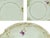 Early 20th Century Bavaria Hand Painted Floral With Pierced Edge and Gold Accent Trim Plates Set - 13 PCS For Sale - Image 9 of 9
