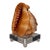 Coastal Red Helmet Tabletop Shell With Lucite Stand For Sale