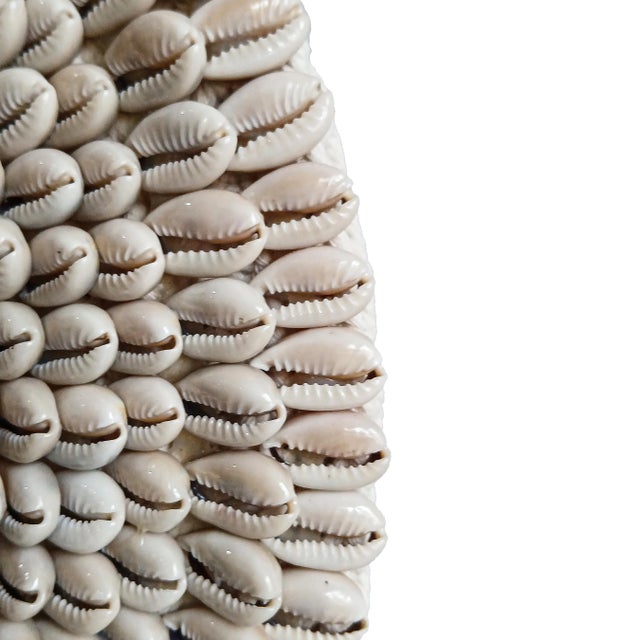 Money Cowrie & Macramé Necklace on Stand, Papua New Guinea For Sale - Image 13 of 15