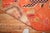 Textile Zabihi Collection Orange Dragon Vintage Tibetan Rug - 3'1" x 5'9" For Sale - Image 7 of 9