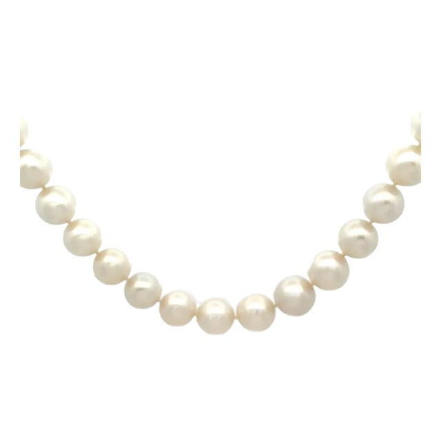 6849 South Sea Pearl Gold Necklace 13-15mm 18k White Diamond Clasp For Sale