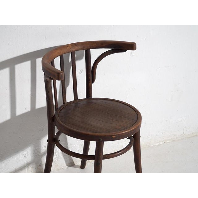 Chairs with Armrests from Thonet, 1920s, Set of 4 For Sale - Image 13 of 18