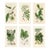 Antique Tree Prints by Sowerby, Set of 6, Early 1800s, Original Hand Colored Engravings, England, First Edition For Sale