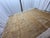 Rh Ilyas Hand-Knotted Wool Rug — 10' × 14' Camel | 100% Wool | Sculpted Texture For Sale - Image 11 of 18