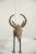 Figurative Vintage African Bronze Wildebeest For Sale - Image 3 of 9