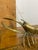 Mid 20th Century Brass Crawfish For Sale - Image 4 of 5