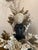 Shell Encrusted Large Black Bust by Bluffton, SC artist, May River Neptune. 32” is to top of coral. About 26” to top of...