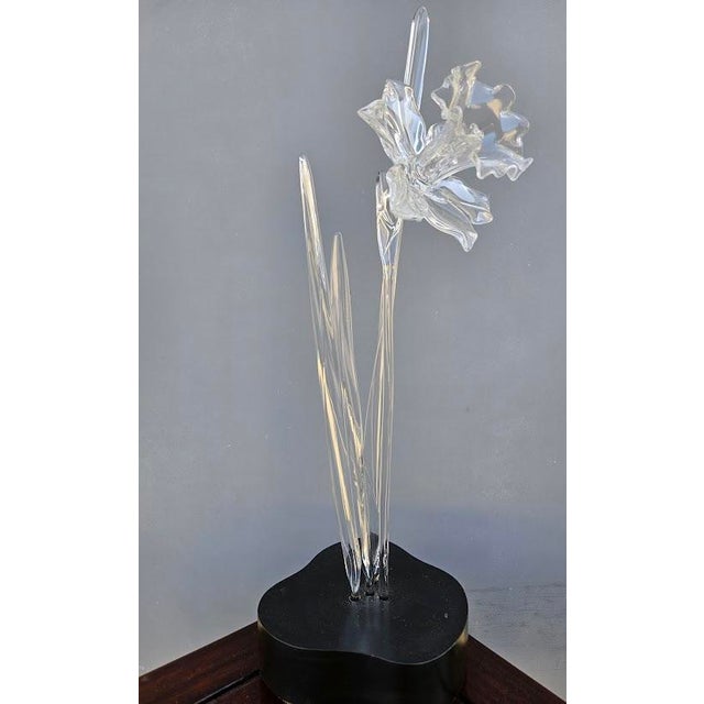 This beautiful, authentic Hans Godo Frabel Glass Daffodil Sculpture on Stand is a striking showcase of masterful glass...