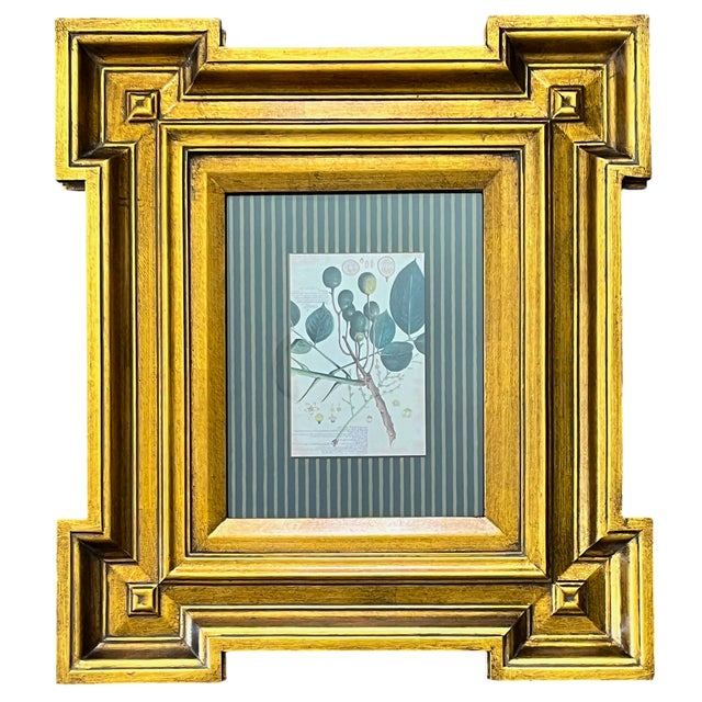 English Paragon Botanical & Fruit Prints in Monumental Architectural Giltwood Frames, Pair For Sale - Image 3 of 16