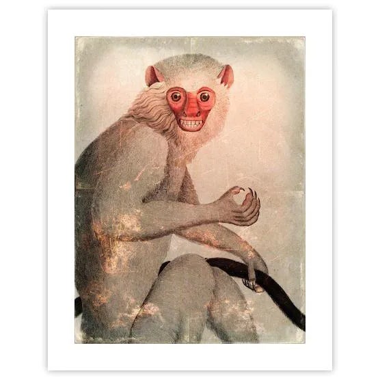 Antique 'Distressed Monkey' Archival Print | Chairish