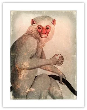 Antique 'Distressed Monkey' Archival Print