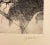 Traditional 1974 Thomas Cornell Portrait of Michelangelo Etching For Sale - Image 3 of 4