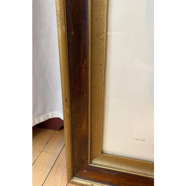 Framed Lithograph Paradisea Minor by J.Smit.lith For Sale - Image 4 of 13