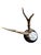 Cabin Roe Deer Trophy 206 Black Forest Antlers For Sale - Image 3 of 5