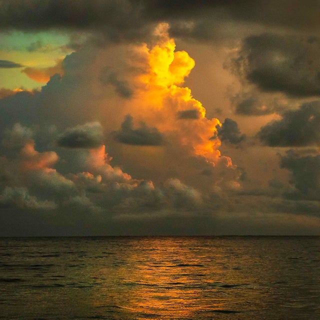 This is an original signed photographic print. My images are printed beautifully on a thick toothy watercolor vellum that...