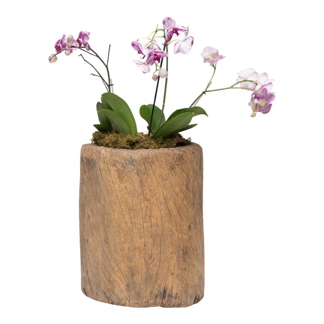 Chinese Provincial Trunk Mortar, C. 1900 For Sale